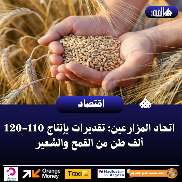 اتحاد المزارعين: تقديرات بإنتاج 110120 ألف طن من القمح والشعير