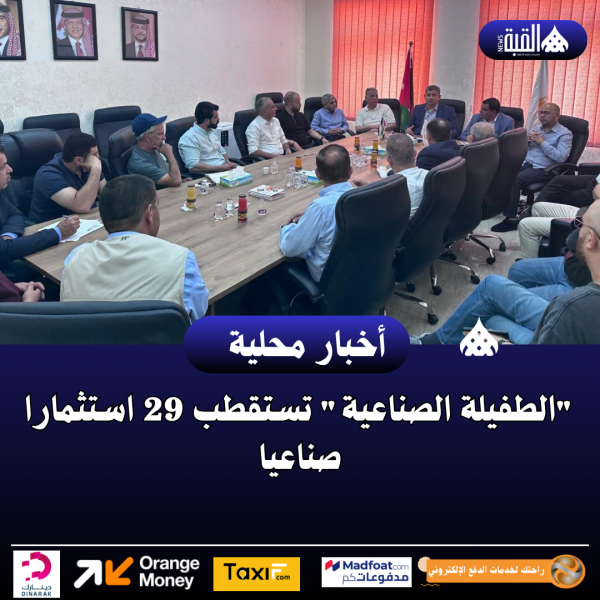 الطفيلة الصناعية تستقطب 29 استثمارا صناعيا