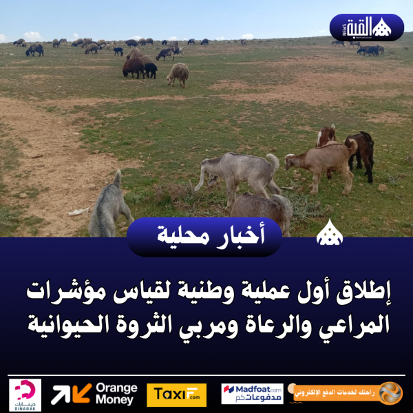 إطلاق أول عملية وطنية لقياس مؤشرات المراعي والرعاة ومربي الثروة الحيوانية
