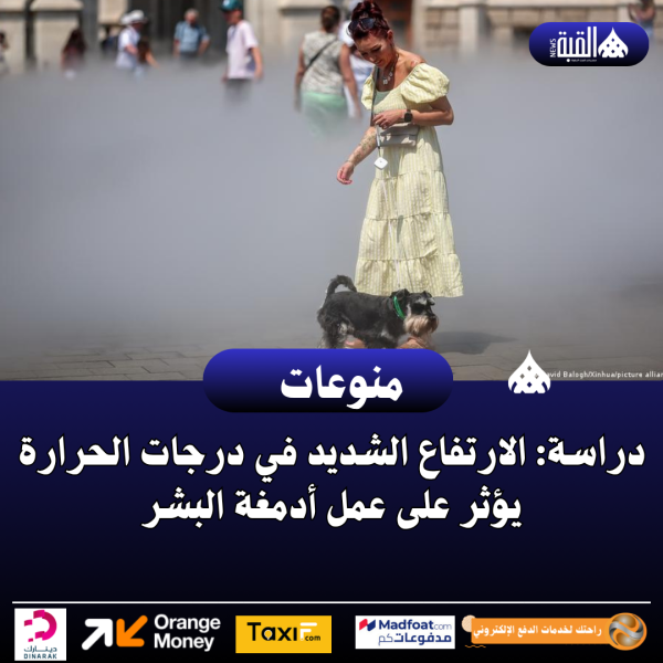دراسة: الارتفاع الشديد في درجات الحرارة يؤثر على عمل أدمغة البشر