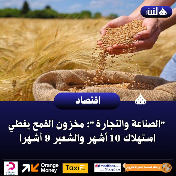الصناعة والتجارة: مخزون القمح يغطي استهلاك 10 أشهر والشعير 9 أشهرا