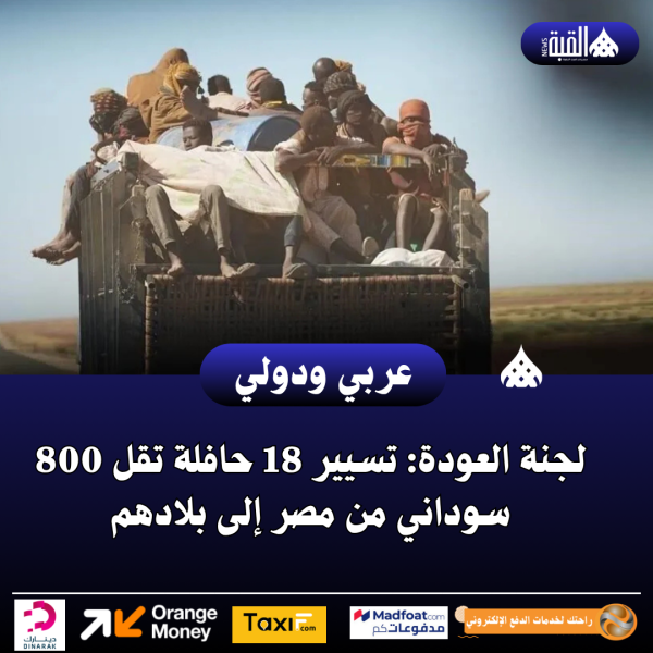 لجنة العودة: تسيير 18 حافلة تقل 800 سوداني من مصر إلى بلادهم