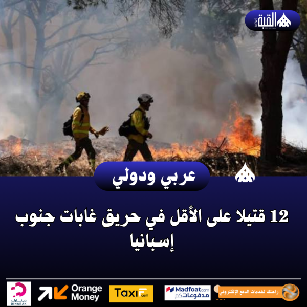عاجل| 12 قتيلا على الأقل في حريق غابات جنوب إسبانيا