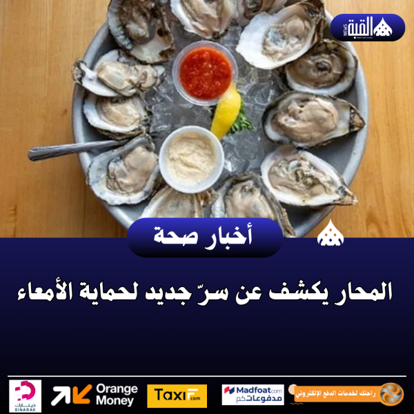 المحار يكشف عن سرّ جديد لحماية الأمعاء