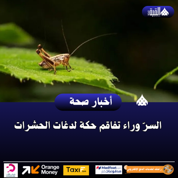 السرّ وراء تفاقم حكة لدغات الحشرات