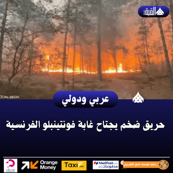 حريق ضخم يجتاح غابة فونتينبلو الفرنسية
