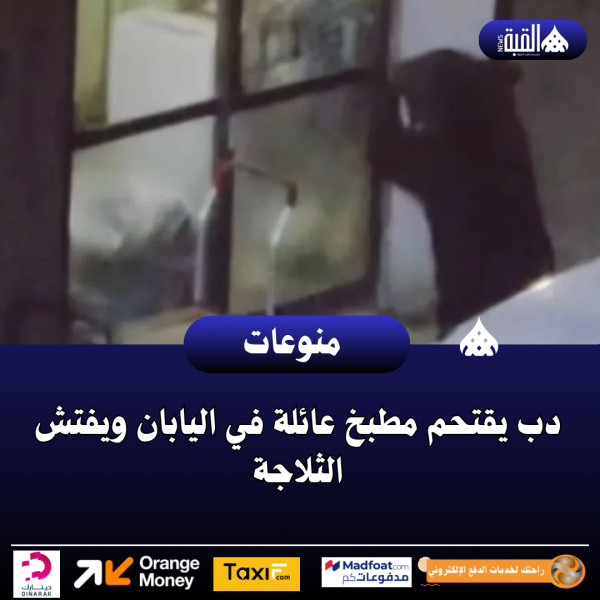 دب يقتحم مطبخ عائلة في اليابان ويفتش الثلاجة