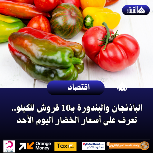 الباذنجان والبندورة بـ10 قروش للكيلو.. تعرف على أسعار الخضار اليوم الأحد