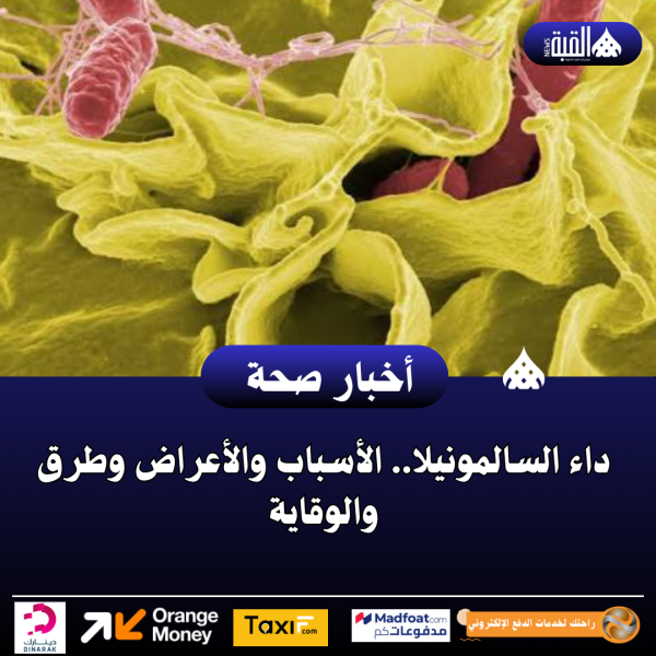 داء السالمونيلا.. الأسباب والأعراض وطرق والوقاية