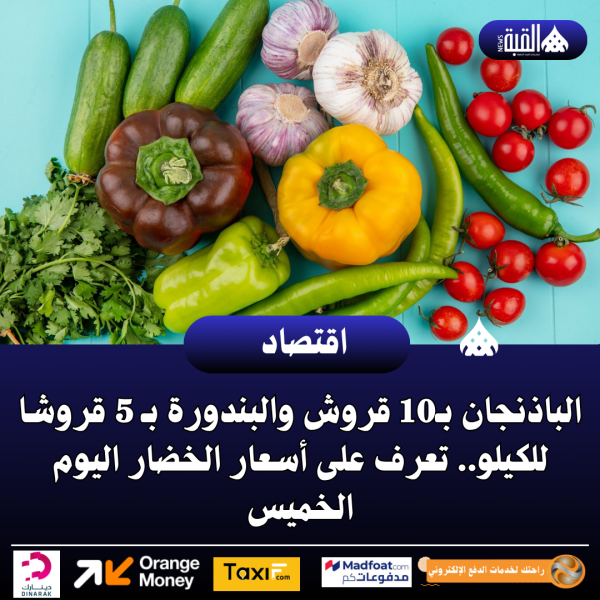 الباذنجان بـ10 قروش والبندورة بـ 5 قروشا للكيلو.. تعرف على أسعار الخضار اليوم الخميس