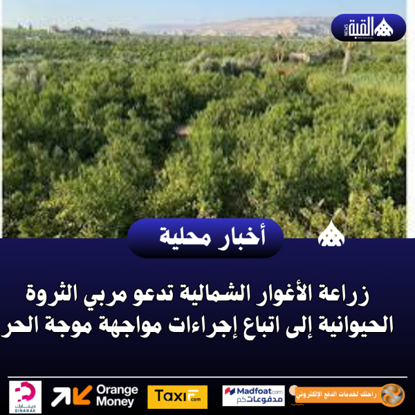 زراعة الأغوار الشمالية تدعو مربي الثروة الحيوانية إلى اتباع إجراءات مواجهة موجة الحر