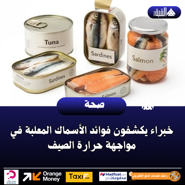 خبراء يكشفون فوائد الأسماك المعلبة في مواجهة حرارة الصيف
