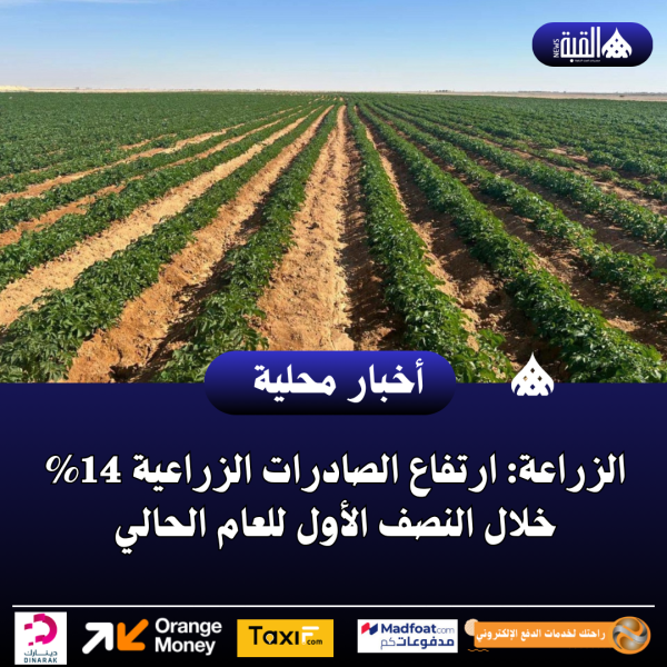 الزراعة: ارتفاع الصادرات الزراعية 14 خلال النصف الأول للعام الحالي