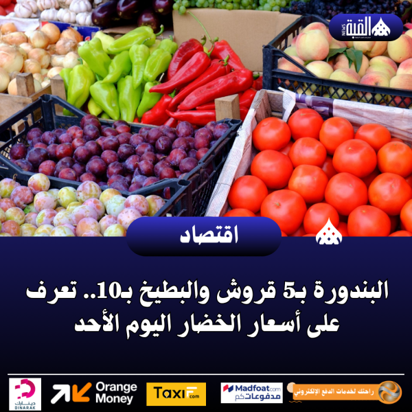 البندورة بـ5 قروش والبطيخ بـ10.. تعرف على أسعار الخضار اليوم الأحد