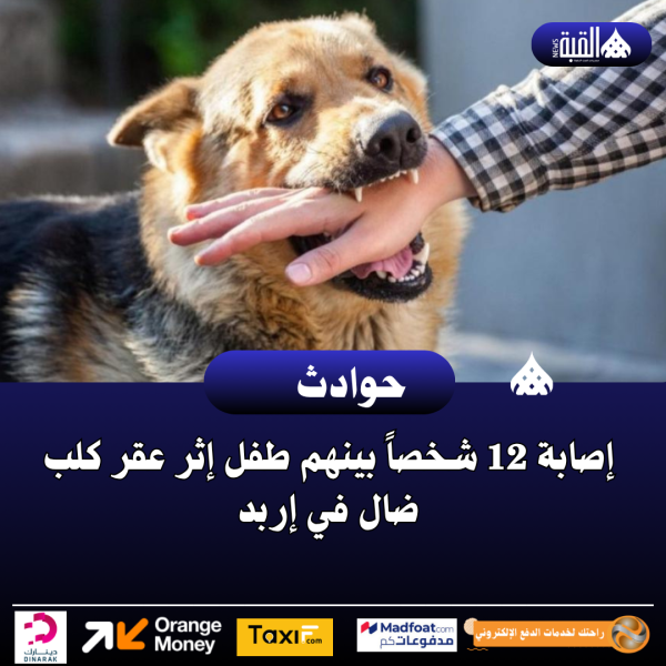 إصابة 12 شخصاً بينهم طفل إثر عقر كلب ضال في إربد