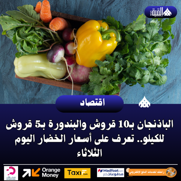 الباذنجان والبندورة بـ5 قروش للكيلو.. تعرف على أسعار الخضار اليوم الثلاثاء