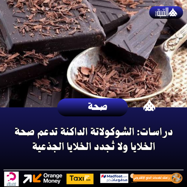 دراسات: الشوكولاتة الداكنة تدعم صحة الخلايا ولا تُجدد الخلايا الجذعية