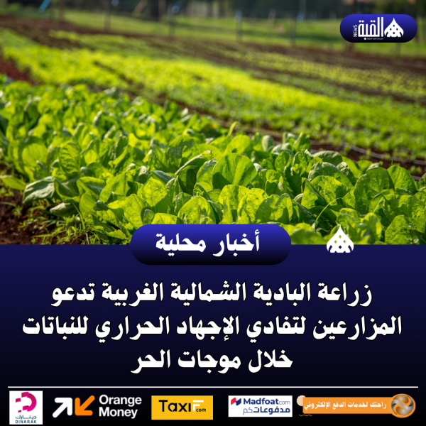 زراعة البادية الشمالية الغربية تدعو المزارعين لتفادي الإجهاد الحراري للنباتات خلال موجات الحر