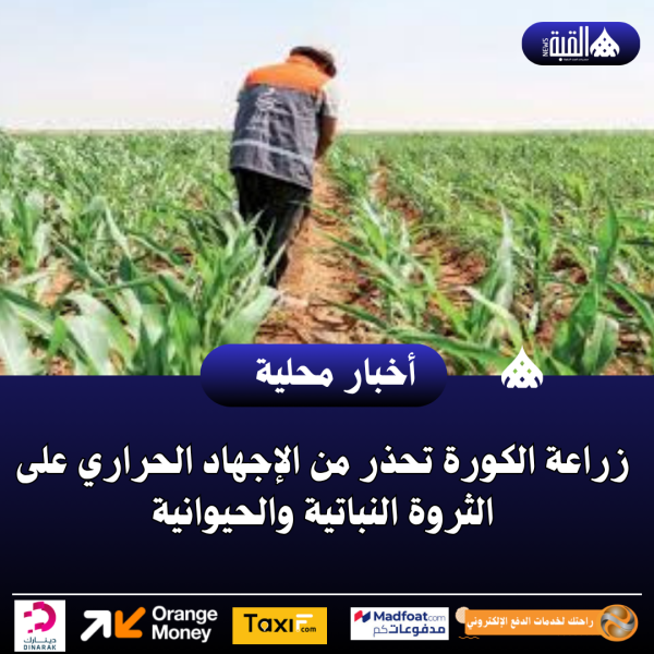 زراعة الكورة تحذر من الإجهاد الحراري على الثروة النباتية والحيوانية