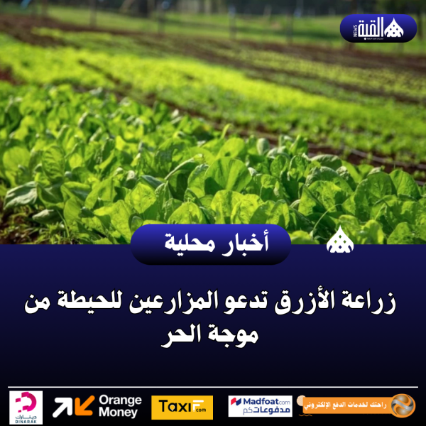 زراعة الأزرق تدعو المزارعين للحيطة من موجة الحر