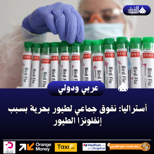 عاجل| أستراليا: نفوق جماعي لطيور بحرية بسبب إنفلونزا الطيور
