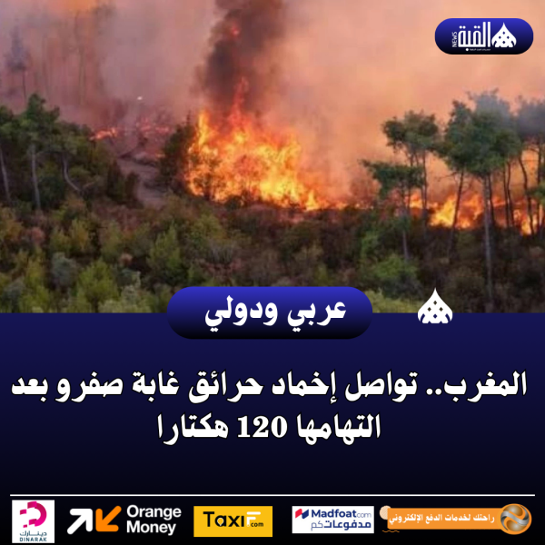 المغرب.. تواصل إخماد حرائق غابة صفرو بعد التهامها 120 هكتارا