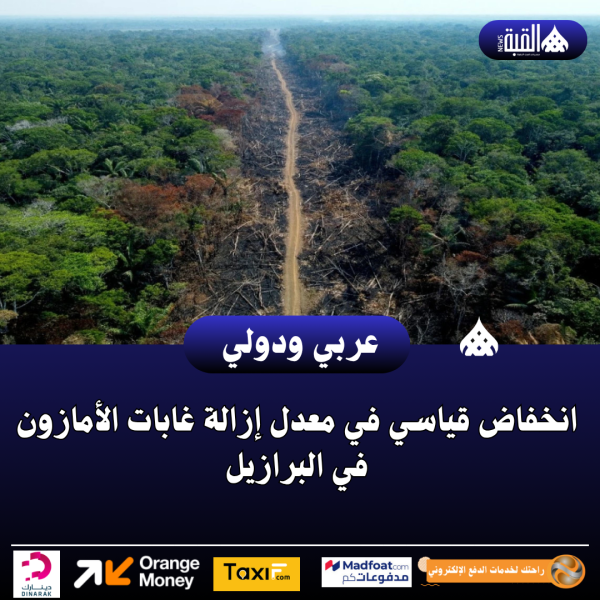انخفاض قياسي في معدل إزالة غابات الأمازون في البرازيل