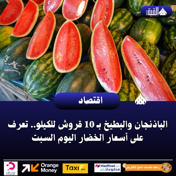 الباذنجان والبطيخ بـ 10 قروش للكيلو.. تعرف على أسعار الخضار اليوم السبت