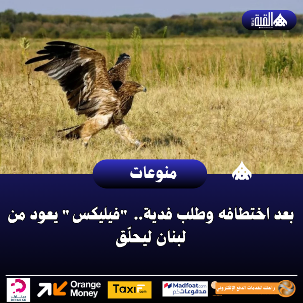 بعد اختطافه وطلب فدية.. فيليكس يعود من لبنان ليحلّق