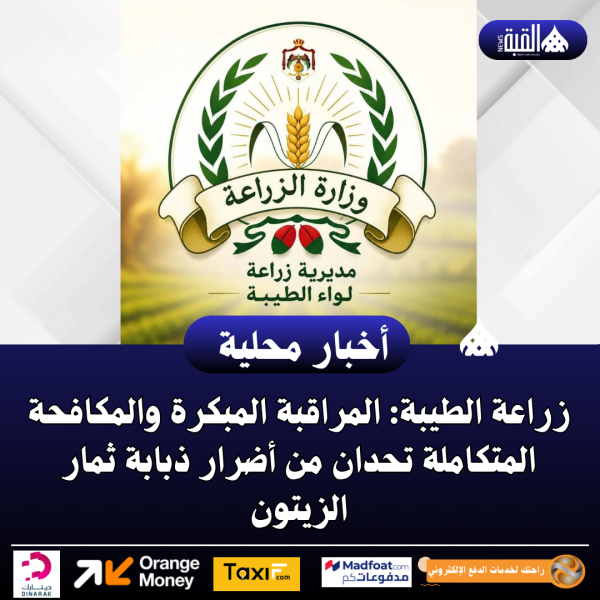 زراعة الطيبة: المراقبة المبكرة والمكافحة المتكاملة تحدان من أضرار ذبابة ثمار الزيتون
