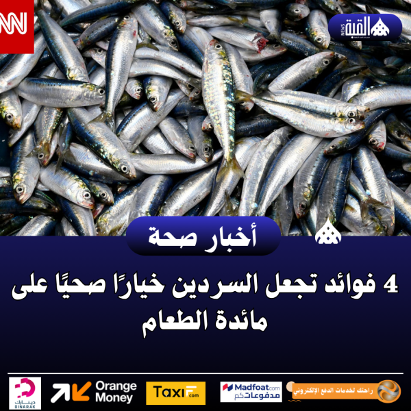 4 فوائد تجعل السردين خيارًا صحيًا على مائدة الطعام