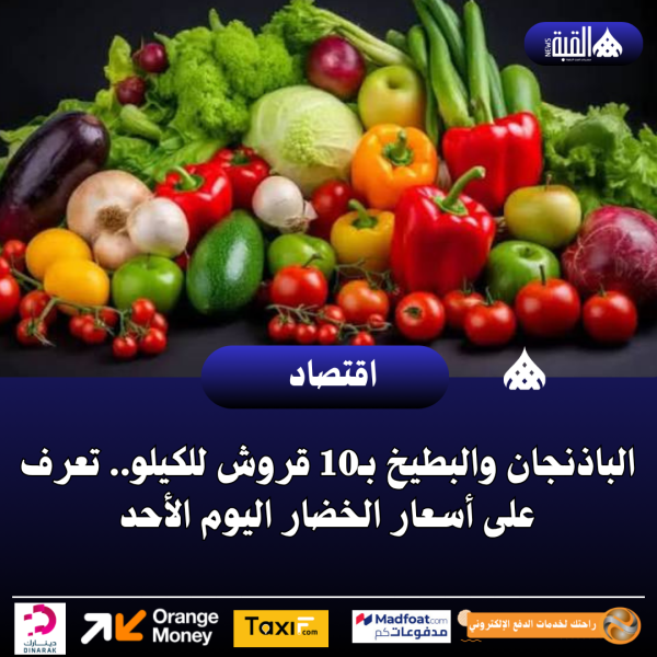 الباذنجان والبطيخ بـ10 قروش للكيلو.. تعرف على أسعار الخضار اليوم الأحد