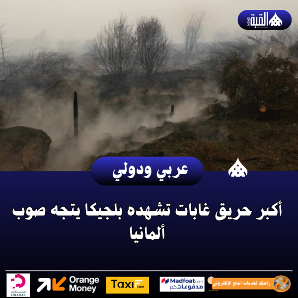 عاجل| أكبر حريق غابات تشهده بلجيكا يتجه صوب ألمانيا