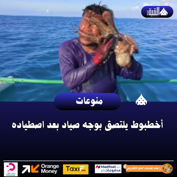 أخطبوط يلتصق بوجه صياد بعد اصطياده