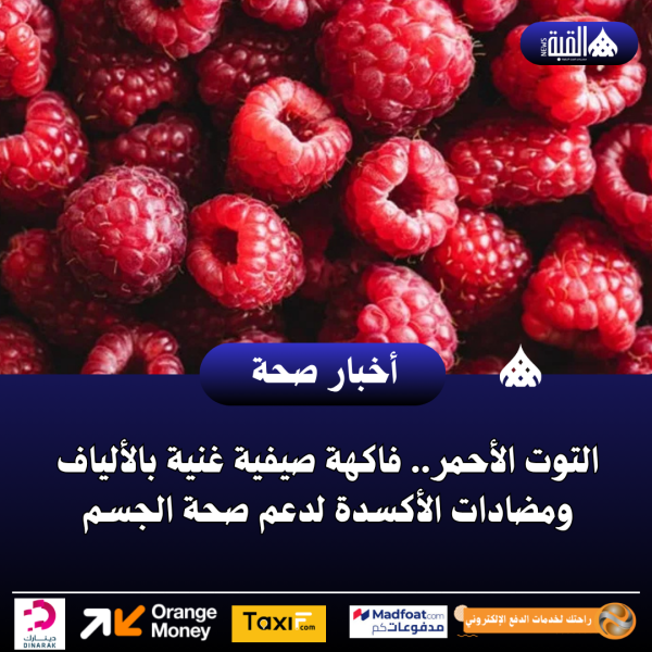 التوت الأحمر.. فاكهة صيفية غنية بالألياف ومضادات الأكسدة لدعم صحة الجسم