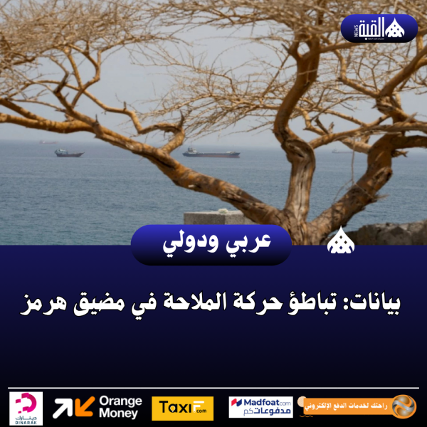 بيانات: تباطؤ حركة الملاحة في مضيق هرمز