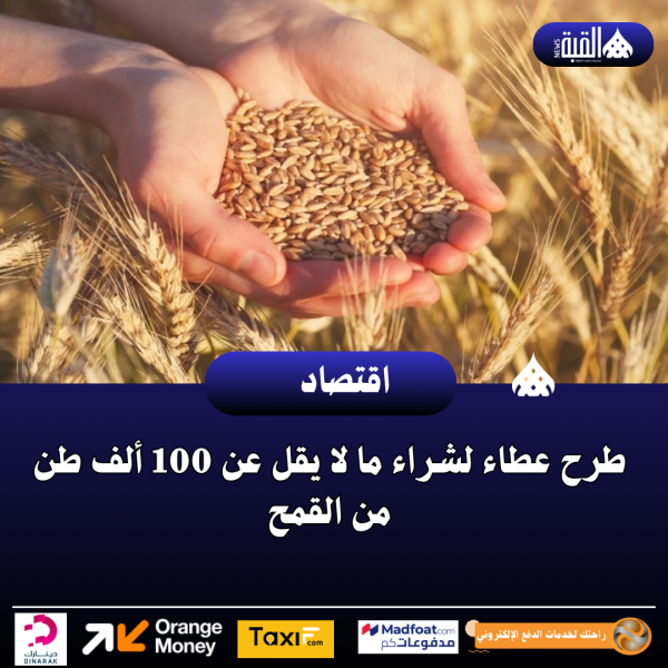 طرح عطاء لشراء ما لا يقل عن 100 ألف طن من القمح