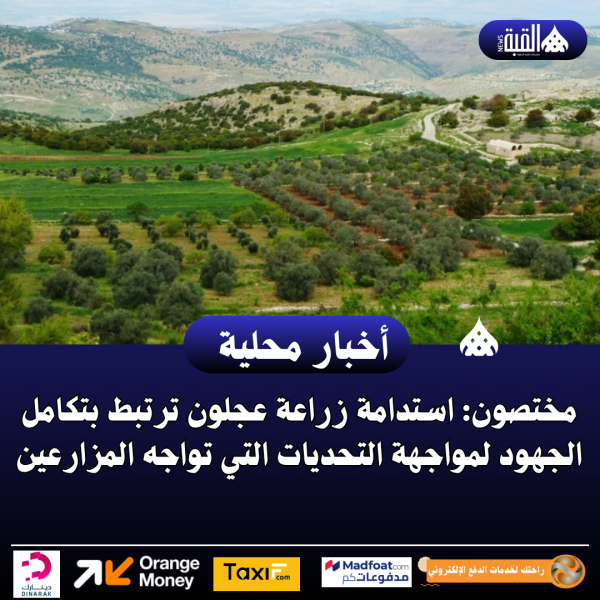 مختصون: استدامة زراعة عجلون ترتبط بتكامل الجهود لمواجهة التحديات التي تواجه المزارعين
