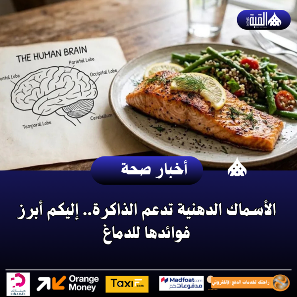 الأسماك الدهنية تدعم الذاكرة.. إليكم أبرز فوائدها للدماغ