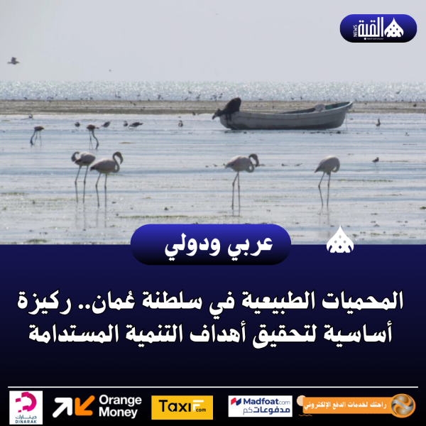 المحميات الطبيعية في سلطنة عُمان.. ركيزة أساسية لتحقيق أهداف التنمية المستدامة