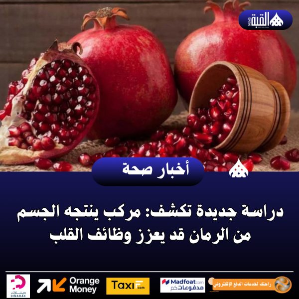 دراسة جديدة تكشف: مركب ينتجه الجسم من الرمان قد يعزز وظائف القلب