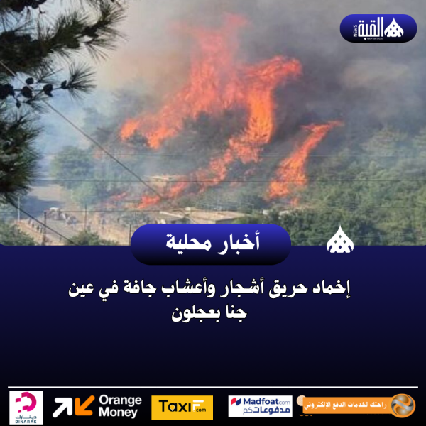 إخماد حريق أشجار وأعشاب جافة في عين جنا بعجلون
