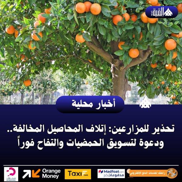 تحذير للمزارعين: إتلاف المحاصيل المخالفة.. ودعوة لتسويق الحمضيات والتفاح فوراً