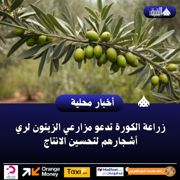 زراعة الكورة تدعو مزارعي الزيتون لري أشجارهم لتحسين الانتاج