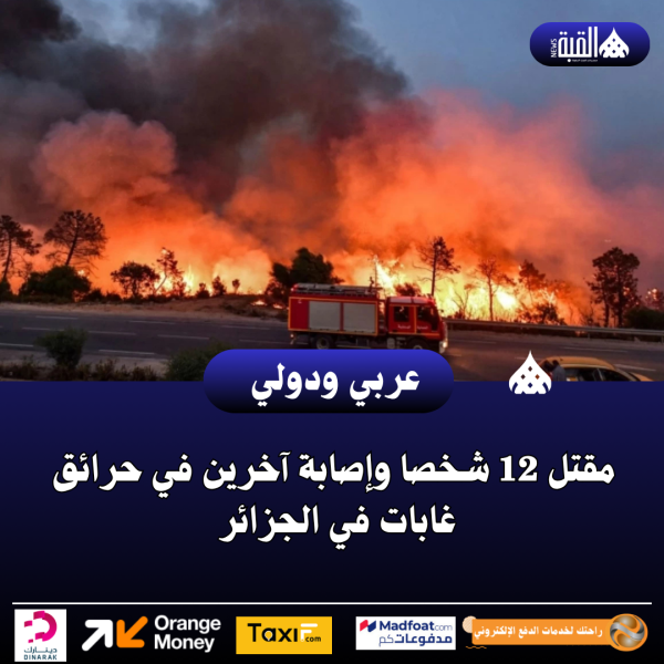 مقتل 12 شخصا وإصابة آخرين في حرائق غابات في الجزائر