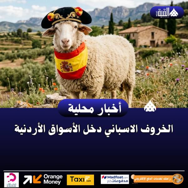 الخروف الاسباني دخل الأسواق الأردنية