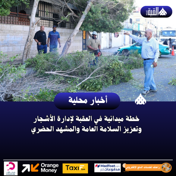 خطة ميدانية في العقبة لإدارة الأشجار وتعزيز السلامة العامة والمشهد الحضري