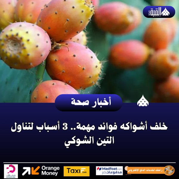 خلف أشواكه فوائد مهمة.. 3 أسباب لتناول التين الشوكي