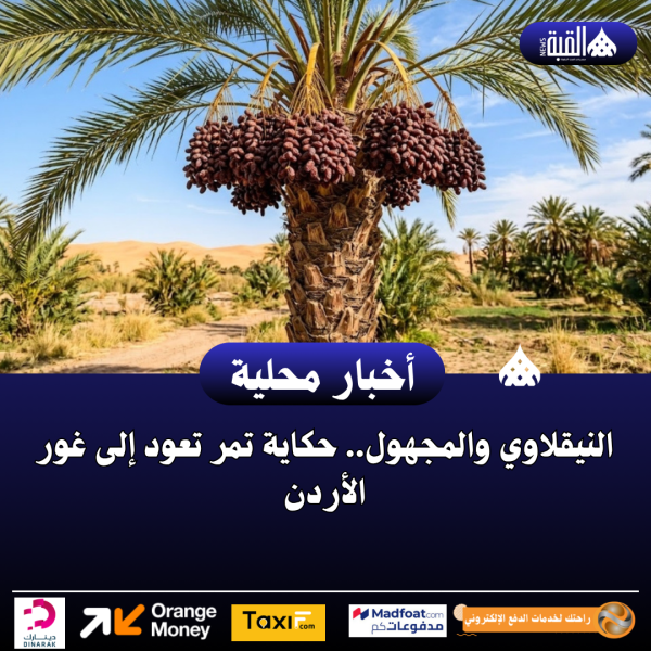 النيقلاوي والمجهول.. حكاية تمر تعود إلى غور الأردن