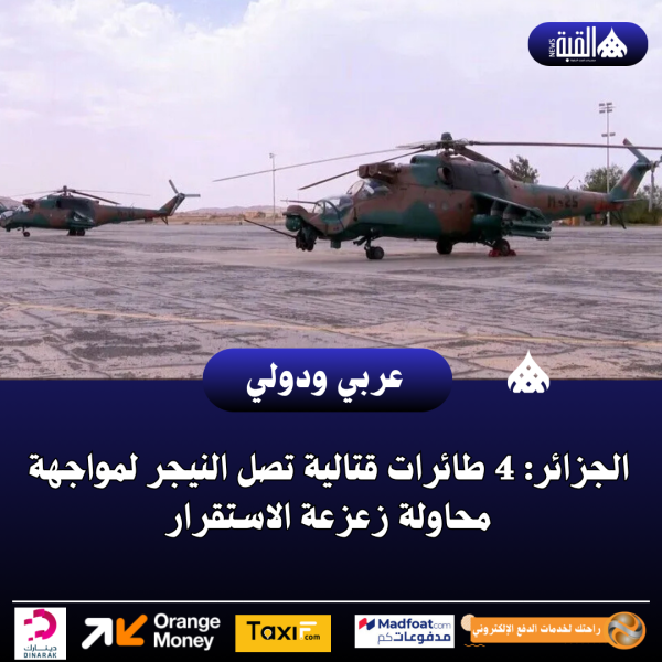 الجزائر: 4 طائرات قتالية تصل النيجر لمواجهة محاولة زعزعة الاستقرار